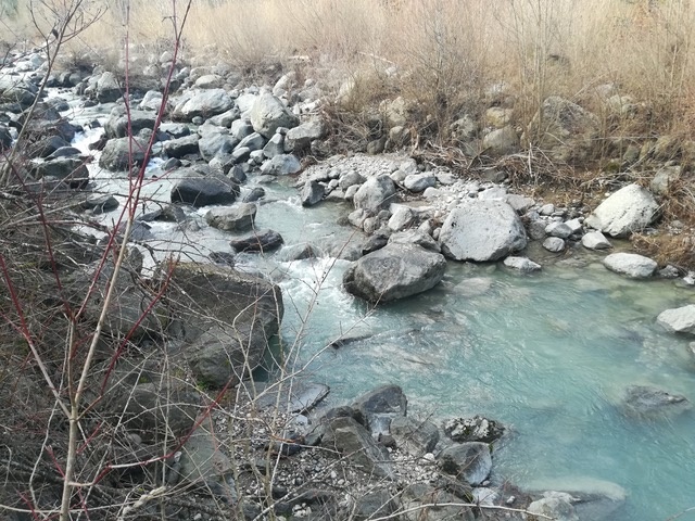 Stridolone stream