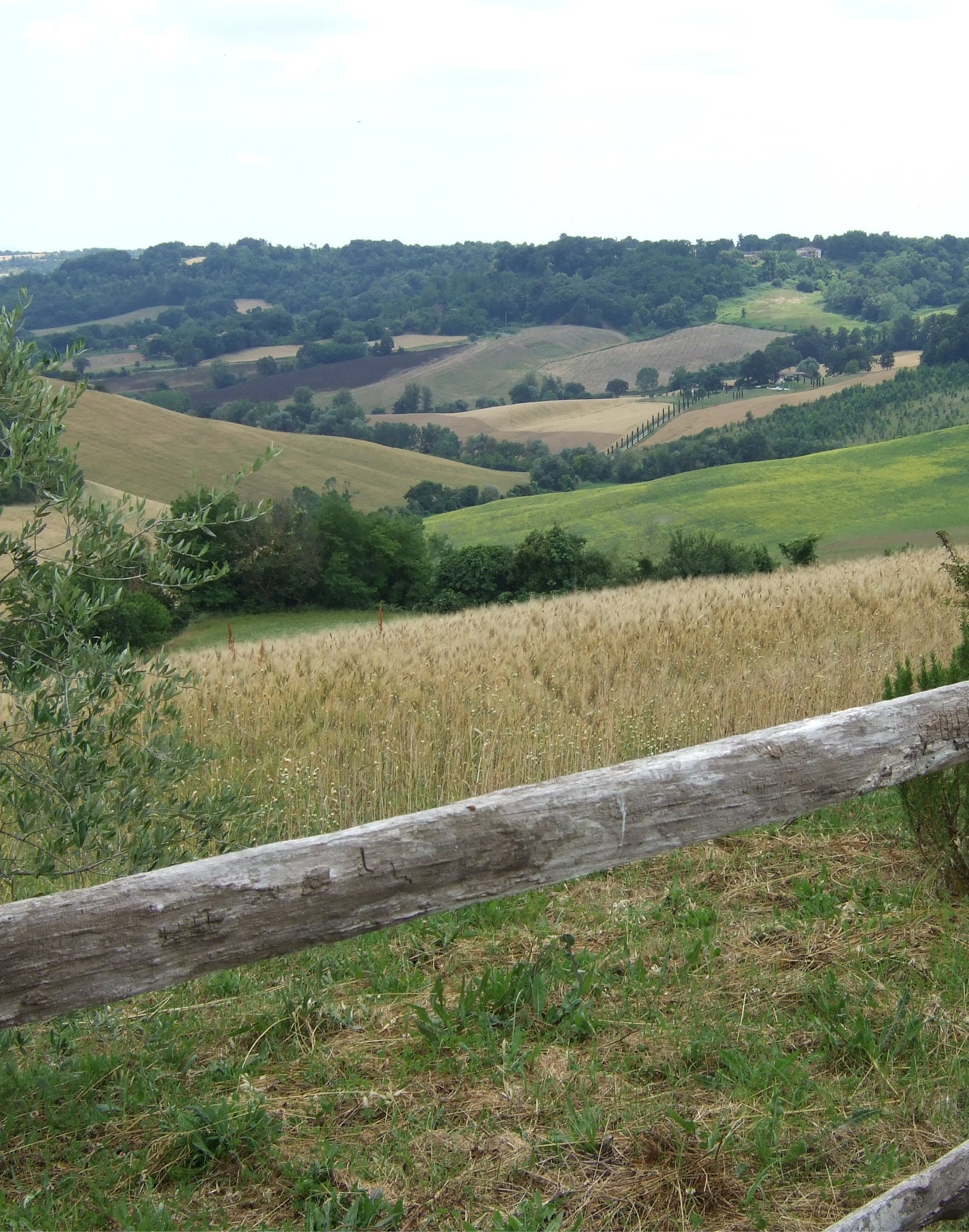 Azienda Agricola Predio Potantino