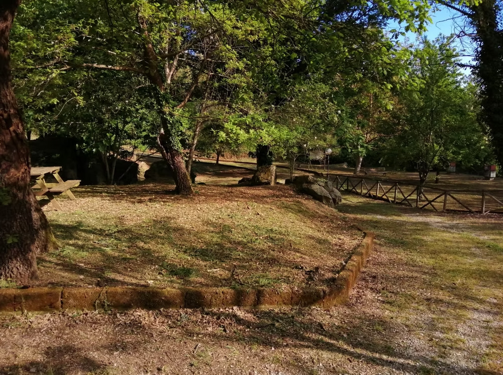 Area Picnic Castagnetelle