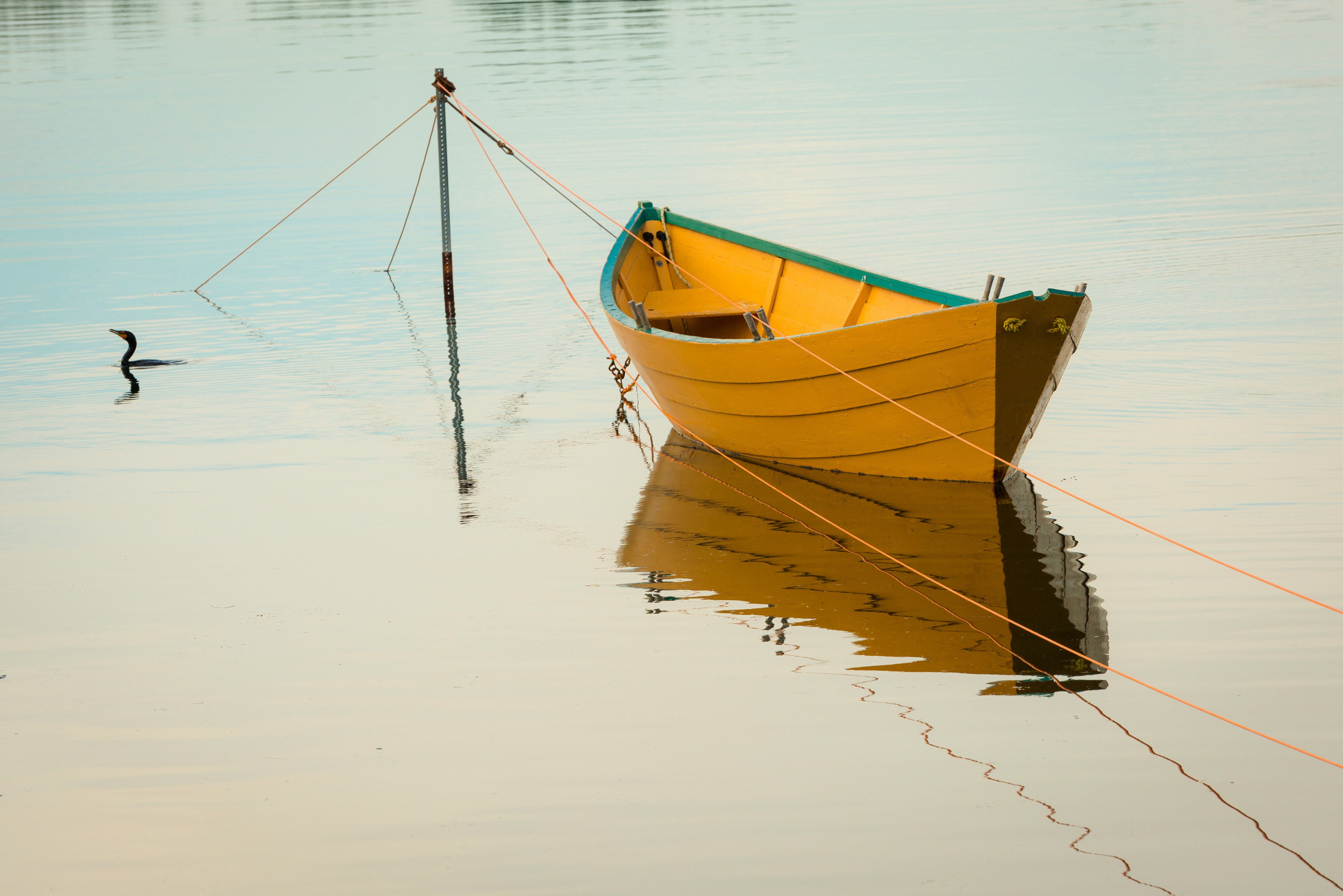 jamie-morrison-QopVyFOTdTw-unsplash