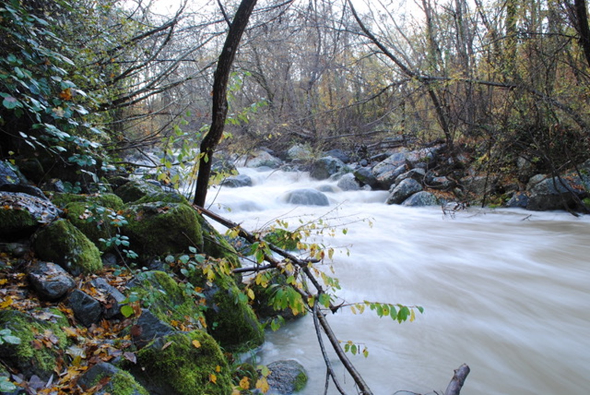 Torrente Stridolone